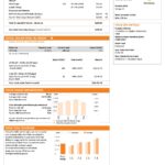 Australia New South Wales (NSW) Origin electricity utility bill template in Word and PDF format, 3 pages