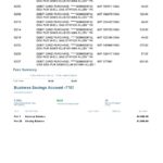 USA Capital One bank statement Word and PDF template, 4 pages