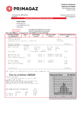 Denmark Primagaz Denmark gas utility bill template in Word and PDF format