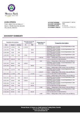 Pakistan Meezan bank statement template in Word and PDF format