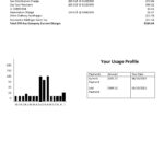 USA DTE Energy utility bill template in Word and PDF format (2 pages)