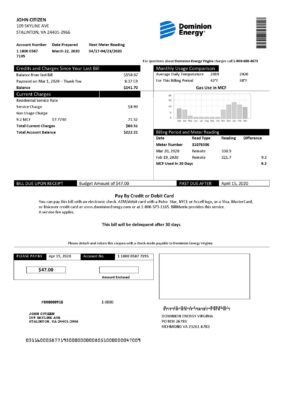 USA Dominion Energy utility bill template in Word and PDF format