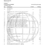 USA Navy Federal Union bank statement template in Excel and PDF format (5 pages)