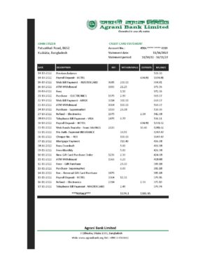 Bangladesh Agrani Bank statement template in Excel and PDF format
