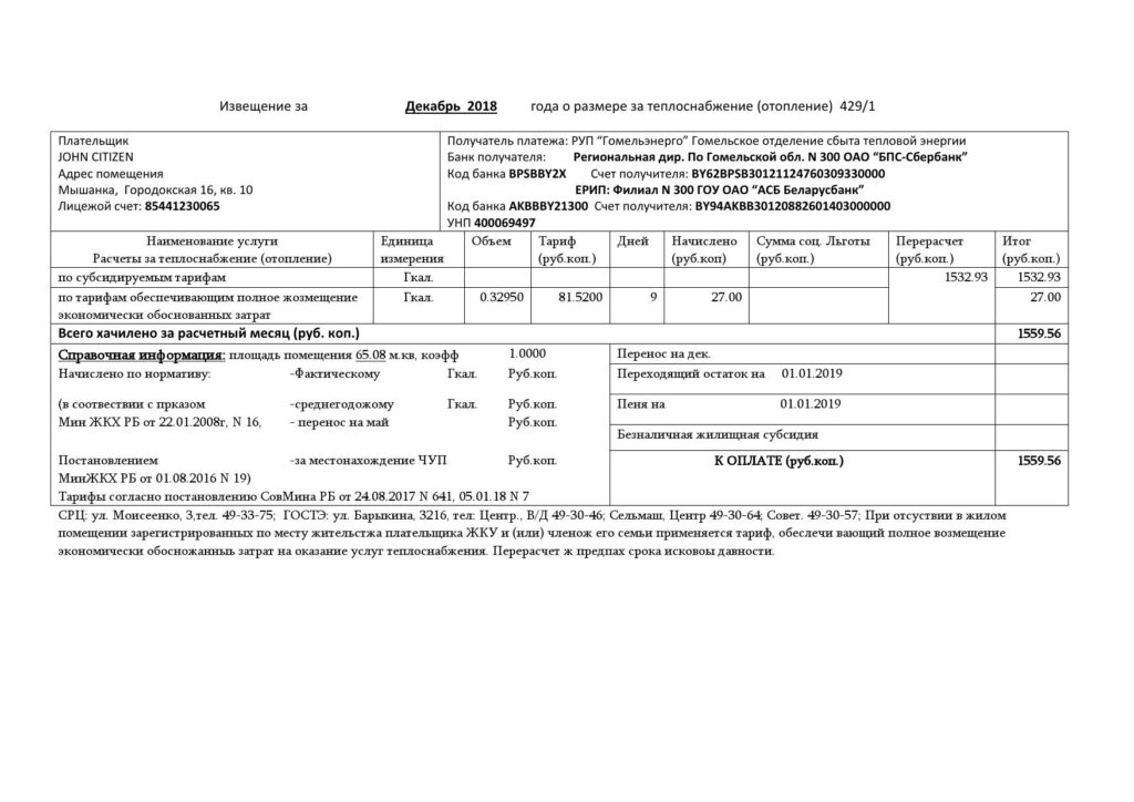 Belarus Gomel energo utility bill template in .doc and .pdf format, fully editable