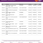 India AU Small Finance bank statement, Word and PDF template, 5 pages