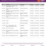India AU Small Finance bank statement, Word and PDF template, 5 pages