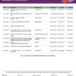 India AU Small Finance bank statement, Word and PDF template, 5 pages