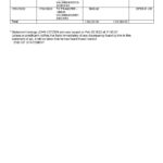 India Allahabad Bank statement, Word and PDF template, 2 pages