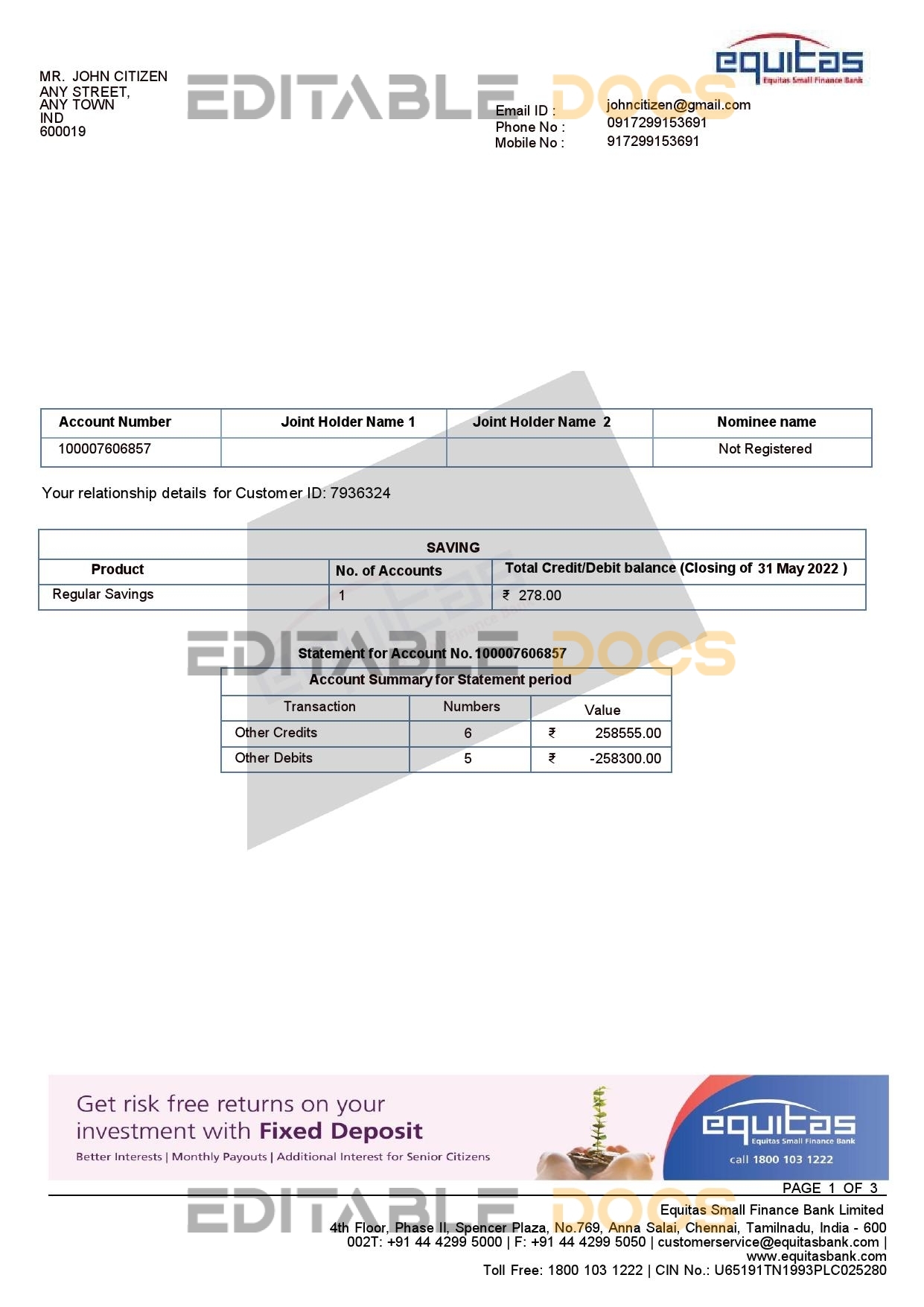 India Equitas bank statement Word and PDF template, 3 pages