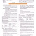 India Indian bank credit card statement, Word and PDF template, 2 pages