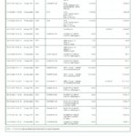 India KVB bank statement, Word and PDF template, 2 pages