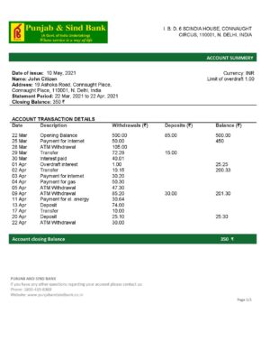 India Punjab and Sind Bank statement template in Word and PDF format