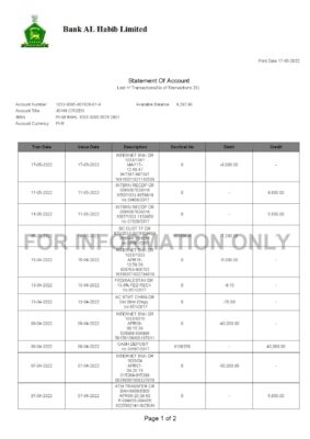 Pakistan Bank Al Habib bank statement Word and PDF template 2 pages 1