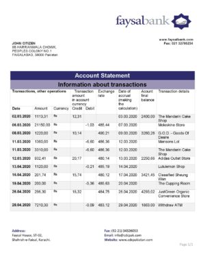 Pakistan Faysal bank statement template in Word and PDF format