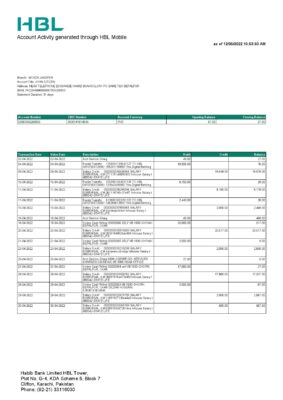 Pakistan HBL bank statement, Word and PDF template
