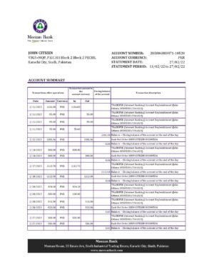 Pakistan Meezan bank statement Excel and PDF template