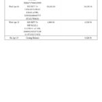 Pakistan Meezan bank statement Word and PDF template, 2 pages