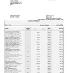 South Africa Standard bank statement, Word and PDF template, 6 pages
