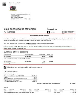 USA Texas IBC bank statement Word and PDF template, 5 pages