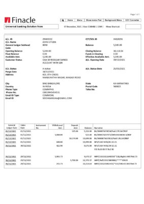 India Finacle bank statement easy to fill template in Word and PDF format