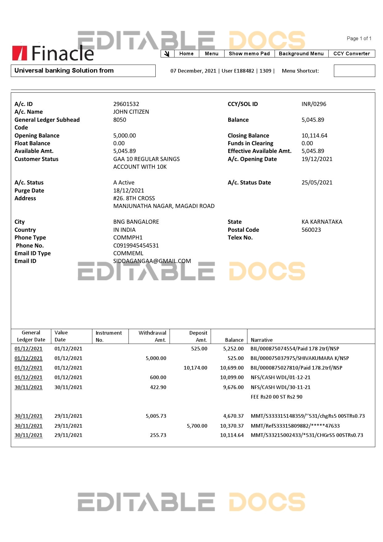 India Finacle bank statement easy to fill template in Word and PDF format