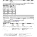 India ICICI Bank statement template in Excel and PDF format (2 pages)