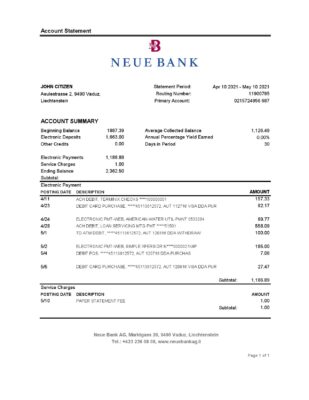 Liechtenstein Neue Bank AG bank statement easy to fill template in .xls and .pdf file format