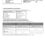 Malaysia AmBank Islamic bank statement template in Word and PDF format (2 pages)
