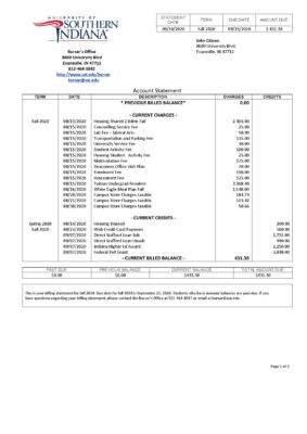 USA University of Southern Indiana account billing statement template in Word and PDF format