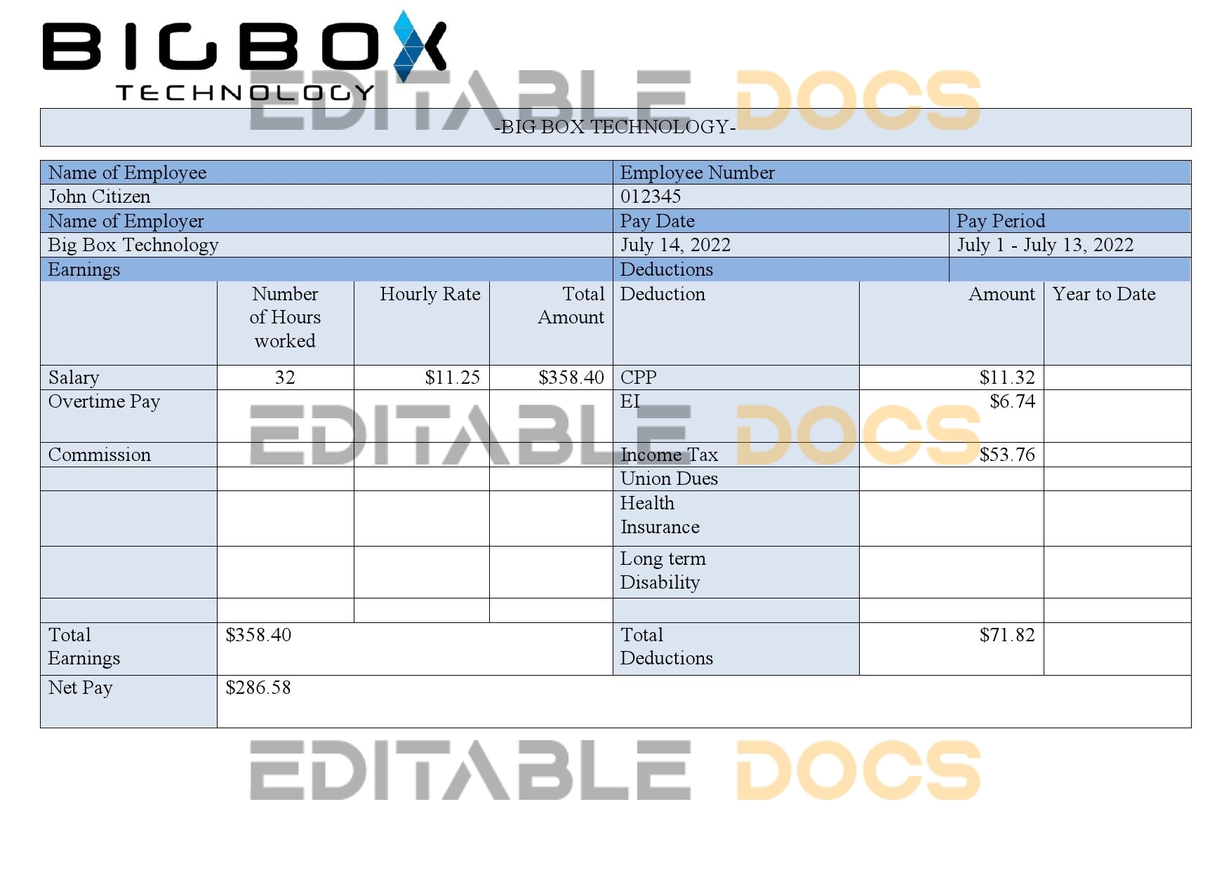 USA Big Box Technologies technology company pay stub Word and PDF template