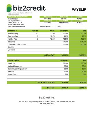 India Biz2Credit Inc. consumer lending company pay stub Word and PDF template