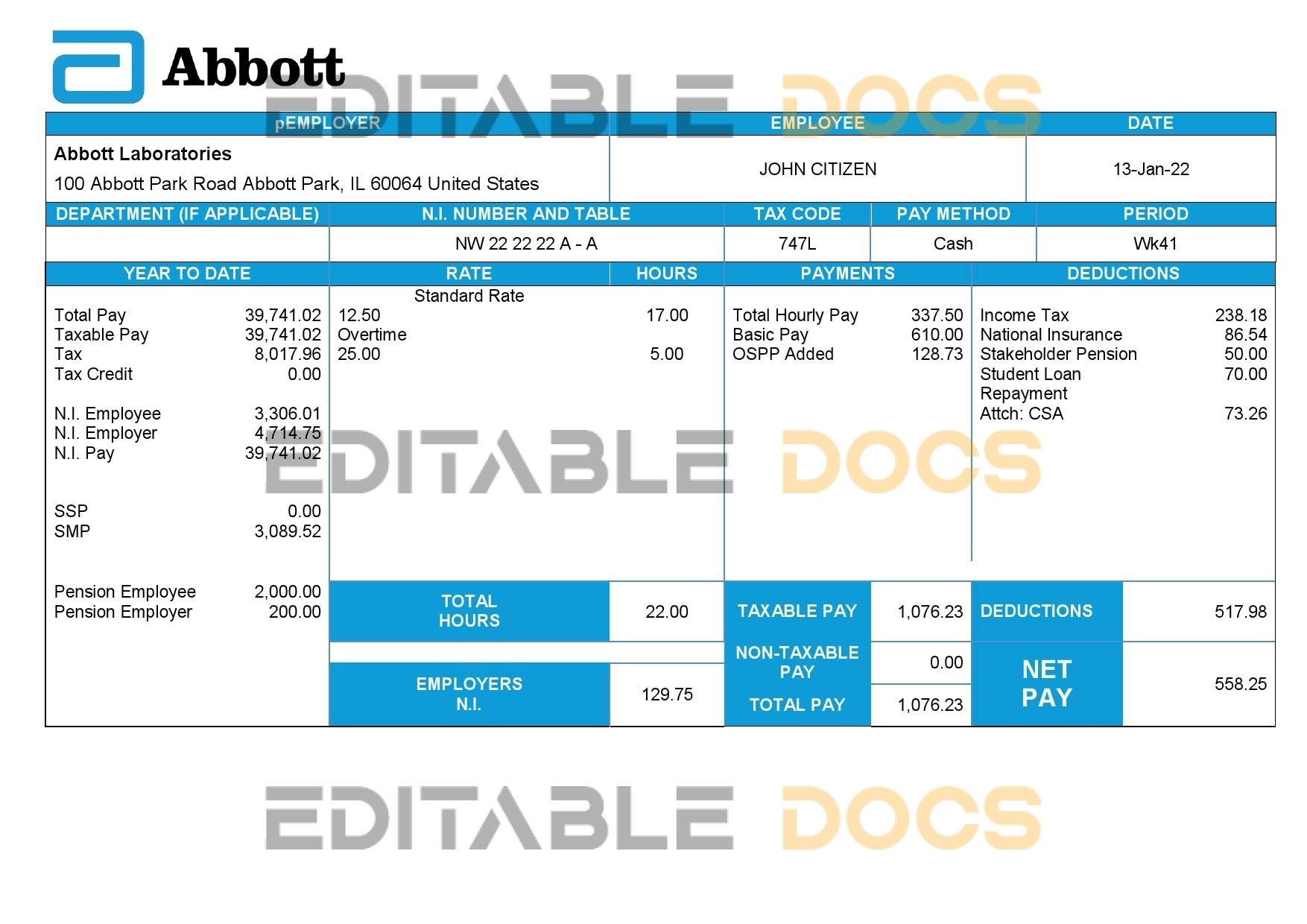 United Kingdom Abbott Laboratories medical devices distributing company pay stub Word and PDF template