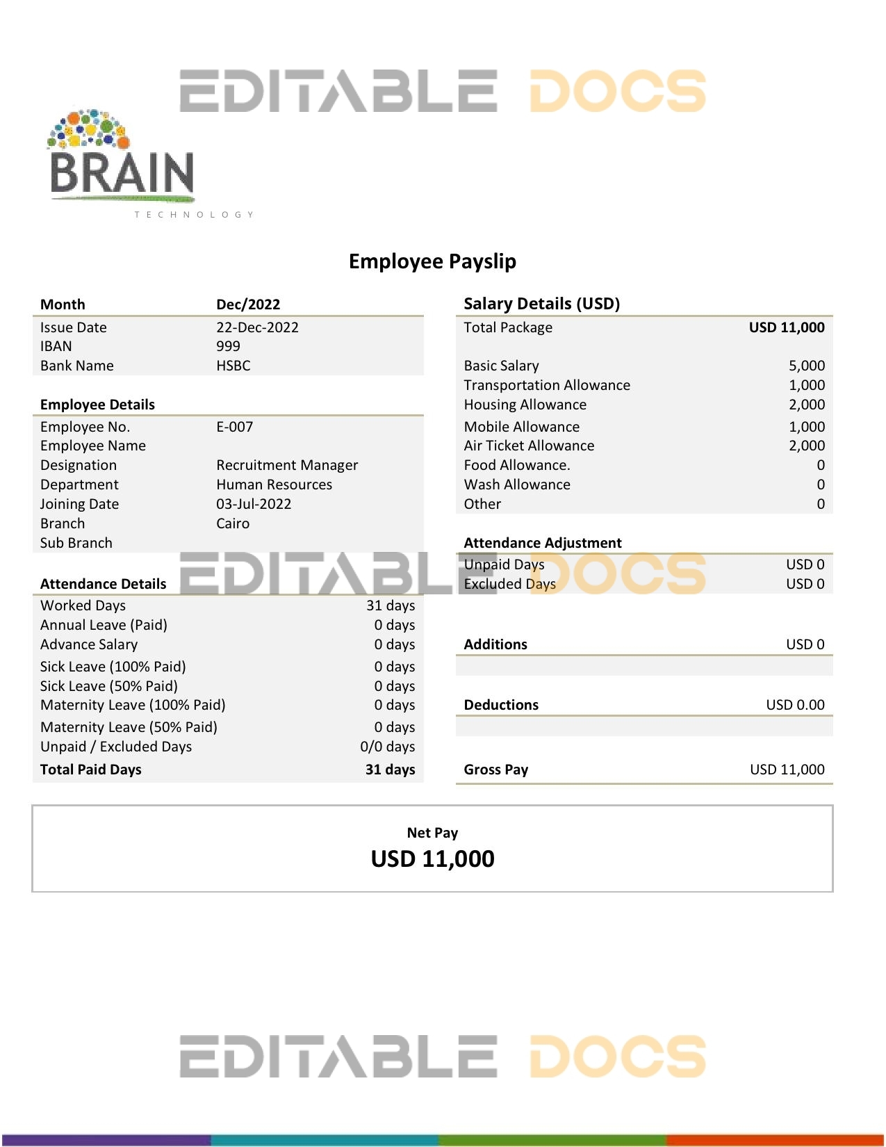 USA Brain Technology technology company pay stub Word and PDF template