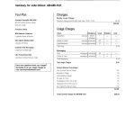 USA Verizon invoice template in Word and PDF format, fully editable