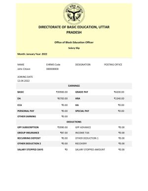 India Directorate of Basic Education Uttar Pradesh educational company pay stub Word and PDF template