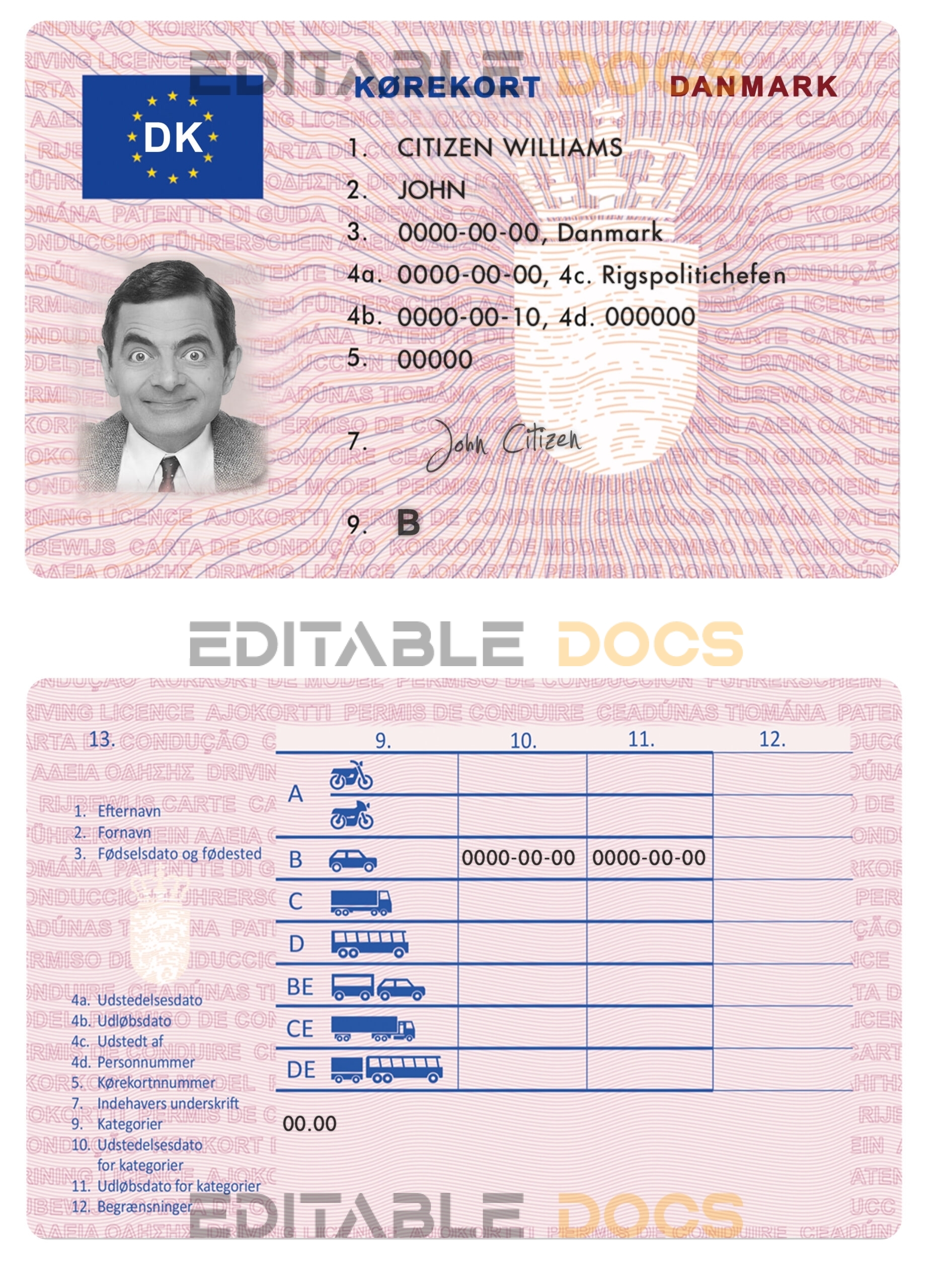 Fake Denmark Driver License Template