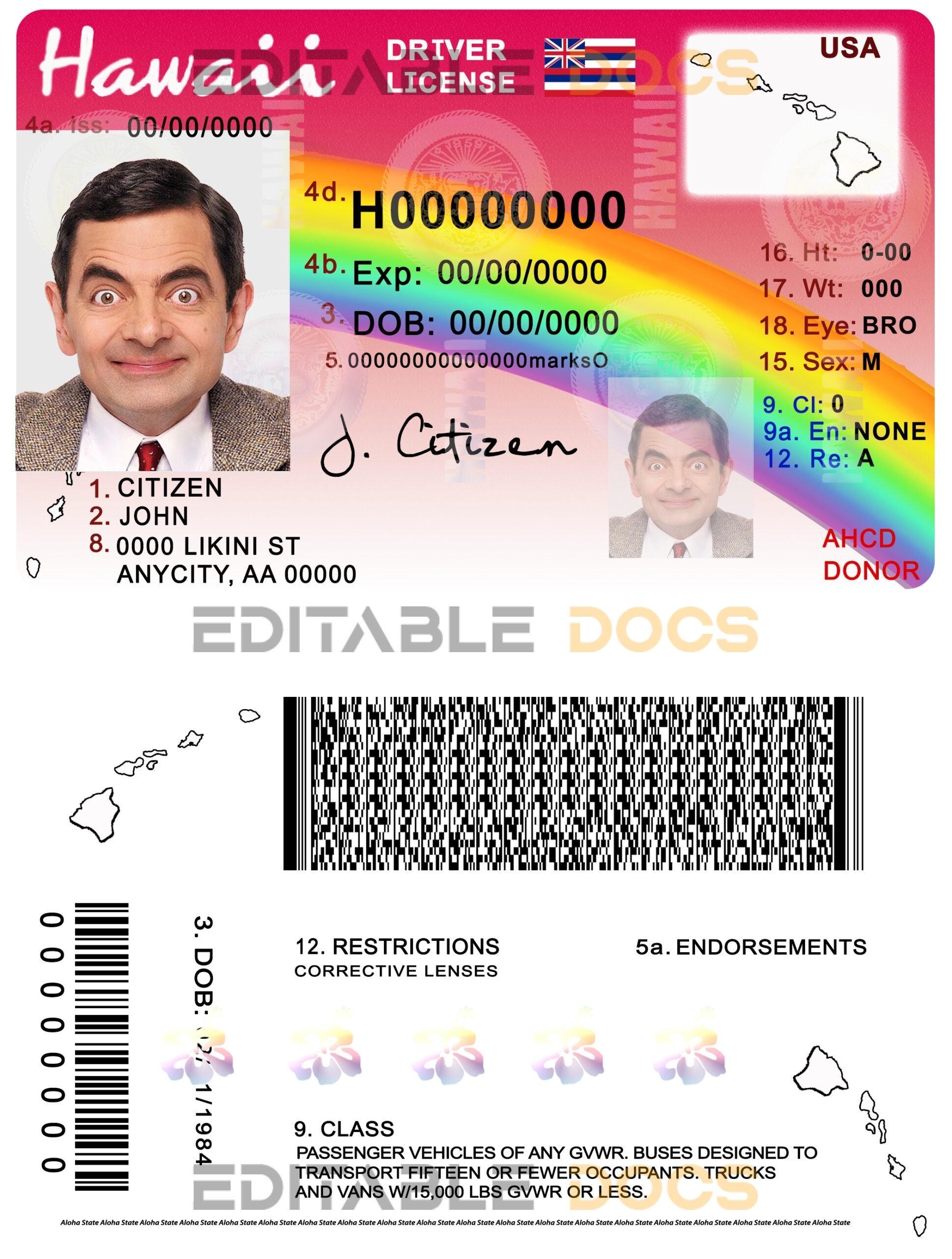 Fake Hawaii Driver License Template