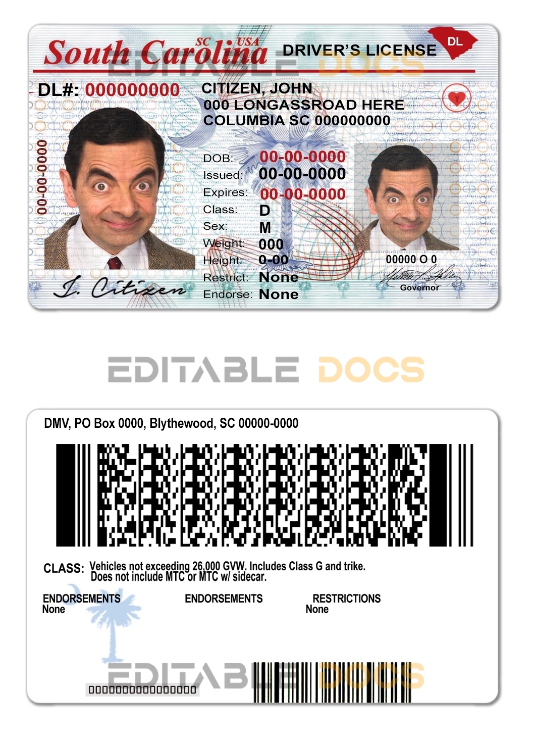 Fake USA South Carolina Driver License Template