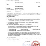 Easily Customize australia Divorce Certificate with Realistic word Templates